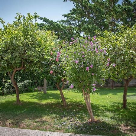 马拉加Piso Con Jardin公寓 外观 照片