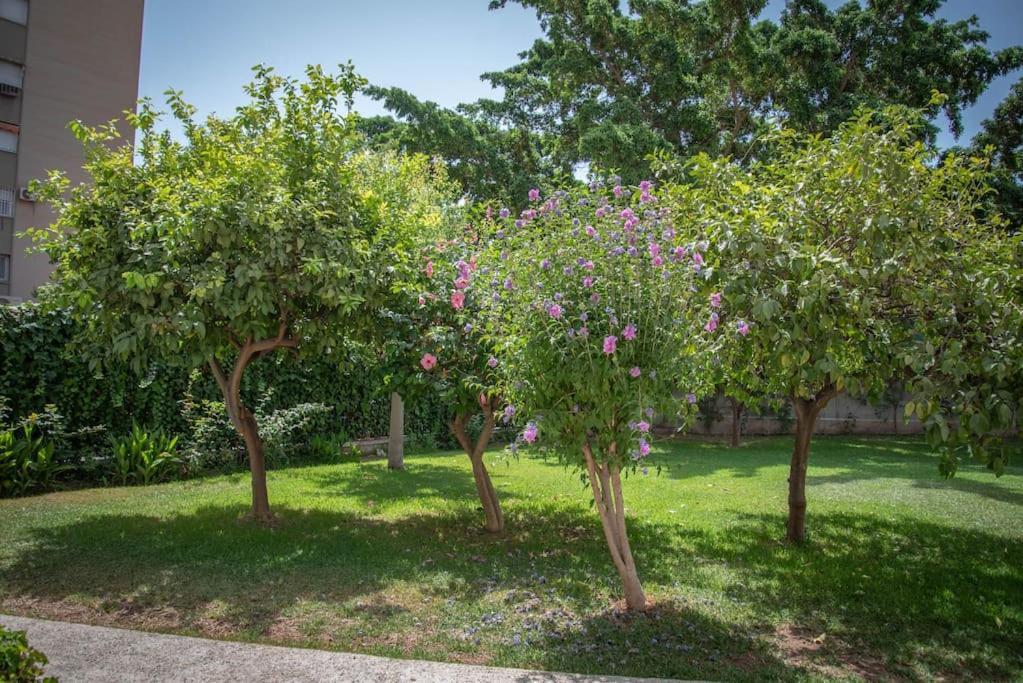 马拉加Piso Con Jardin公寓 外观 照片